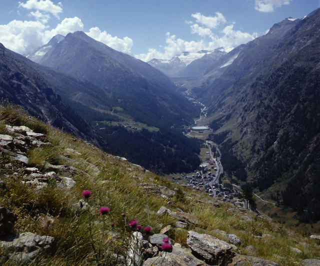 saas almagell